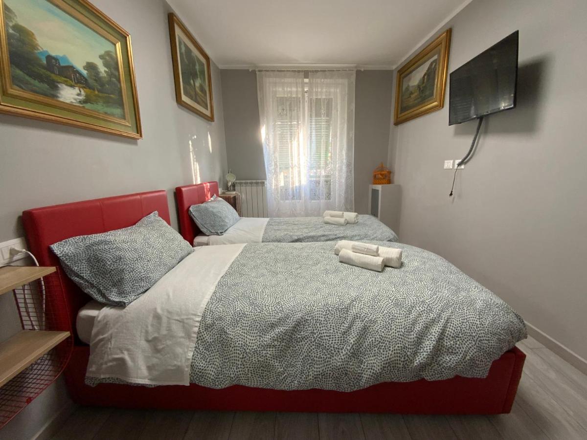 Casa Camelie